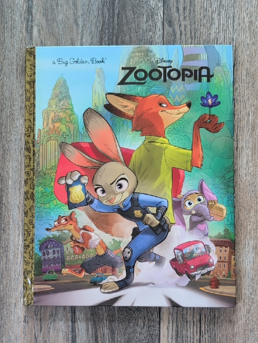 DISNEY Book Bundle of 4 Books Zootopia Encanton Princess and The Frog - Picture 2 of 6